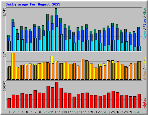 Daily usage for August 2025