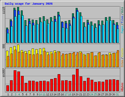 Daily usage for January 2026