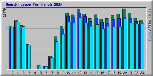 Hourly usage for March 2024