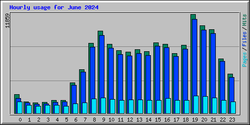 Hourly usage for June 2024