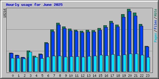 Hourly usage for June 2025
