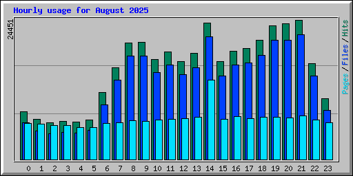 Hourly usage for August 2025