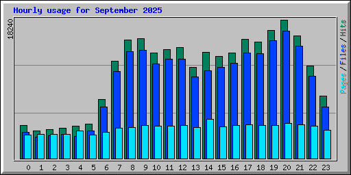 Hourly usage for September 2025