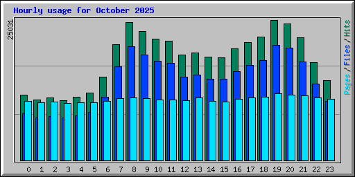 Hourly usage for October 2025