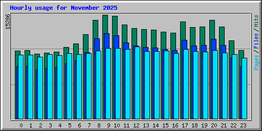 Hourly usage for November 2025