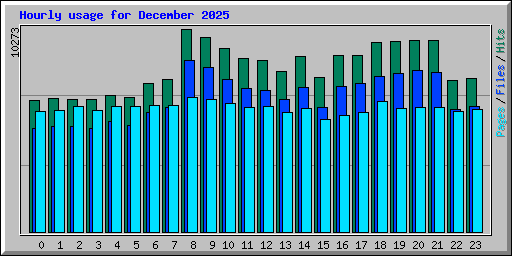 Hourly usage for December 2025