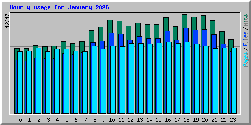 Hourly usage for January 2026