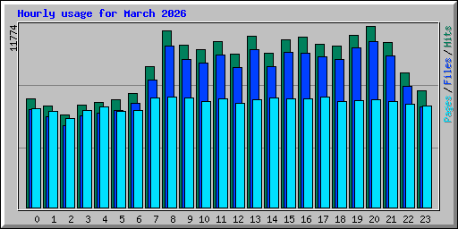 Hourly usage for March 2026