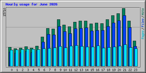 Hourly usage for June 2026